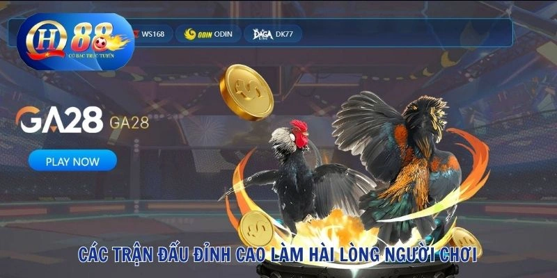 QH88 28 Các trận đấu đỉnh cao làm hài lòng người chơi