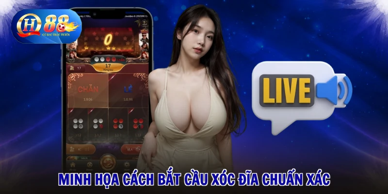 Cách Bắt Cầu Xóc Đĩa - Bí Kíp Đỉnh Cao, Đón Đầu Thắng Lớn 1 Cách bắt cầu xóc đĩa chuẩn xác newbie cần biết